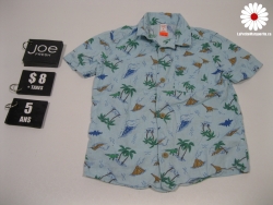Chemise