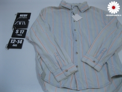 Chemise