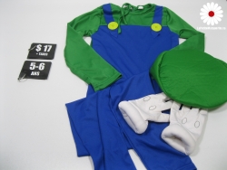 Costume Luigi