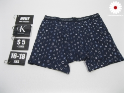 Boxer