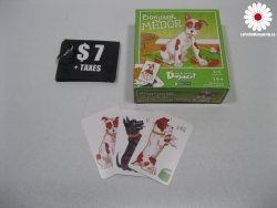 Le trésor du Gritimis Jeu de cartes Dagobert