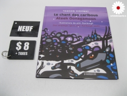 Un renard sur la glace