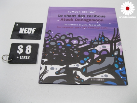 Un renard sur la glace