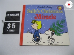 en anglais Sally's Christmas miracle