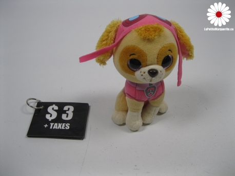 Mes cartes de champion sur l'eau - Auzou -