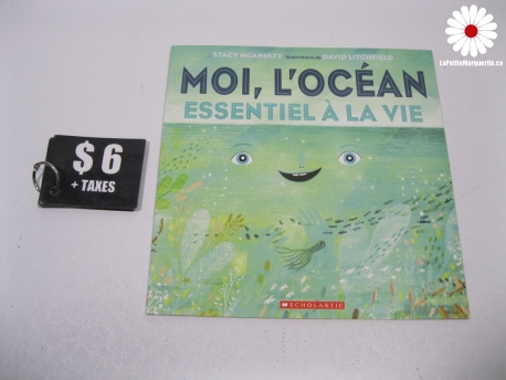 Livre Le rêve de Bobot - Mini Toom -