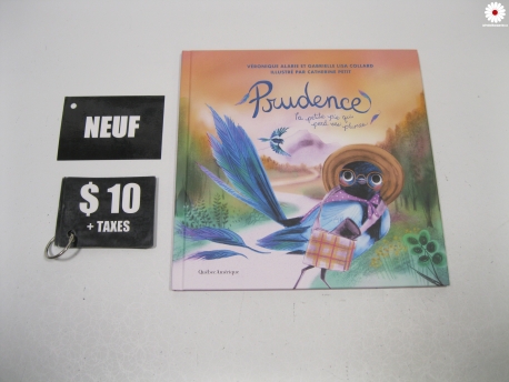 Livre Minecraft - BD officielle -