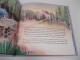 Livre Minecraft - BD officielle -