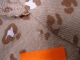 Cache-couche