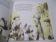 Livre Lol Paté chinois