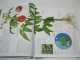 Livre L'incroyable encyclopédie visuelle de la science