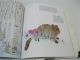 Livre Moby Rick La baleine blanche