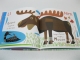 Livre The bad mood and the stick - Anglais -