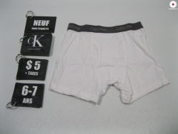 Boxer