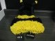 Costume d'abeille